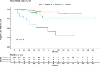 Recurrences and progression following microsurgery of vestibular schwannoma
